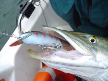 strandbokalastus